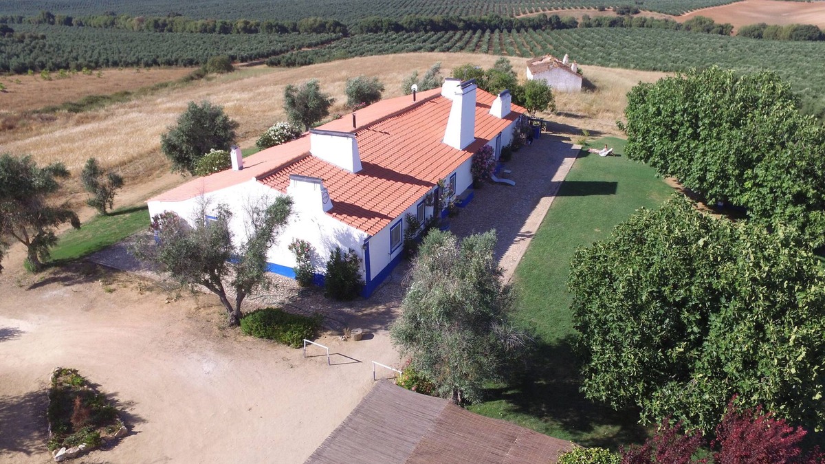 Sousel Cottage | Rustic farm, T3+1, sleep 10, biologic swimming pool, amazing landscape