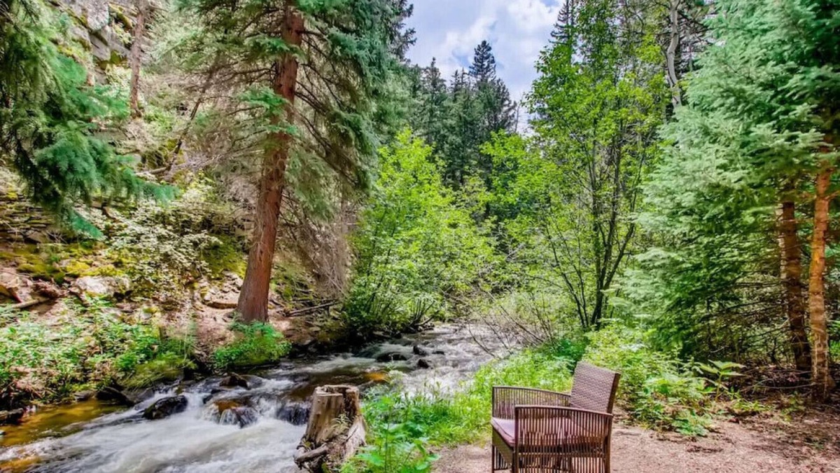 Idaho Springs Cabin | RUSTIC FUNK WATERFRONT Pet Friendly CABIN