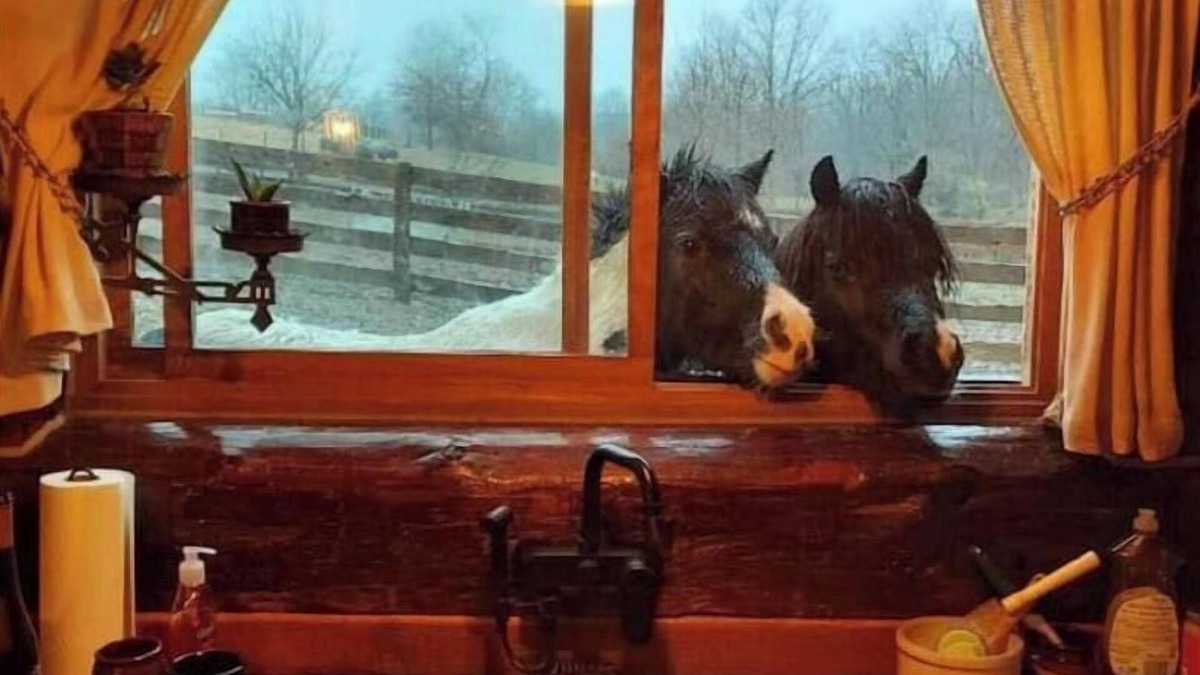 Dewart House | Rustic Luxury w/Horses-Historic Whiskey Distillery