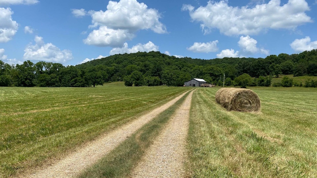 Sumner County Other | Rustic Tennessee Farmhouse on 100 acres of land