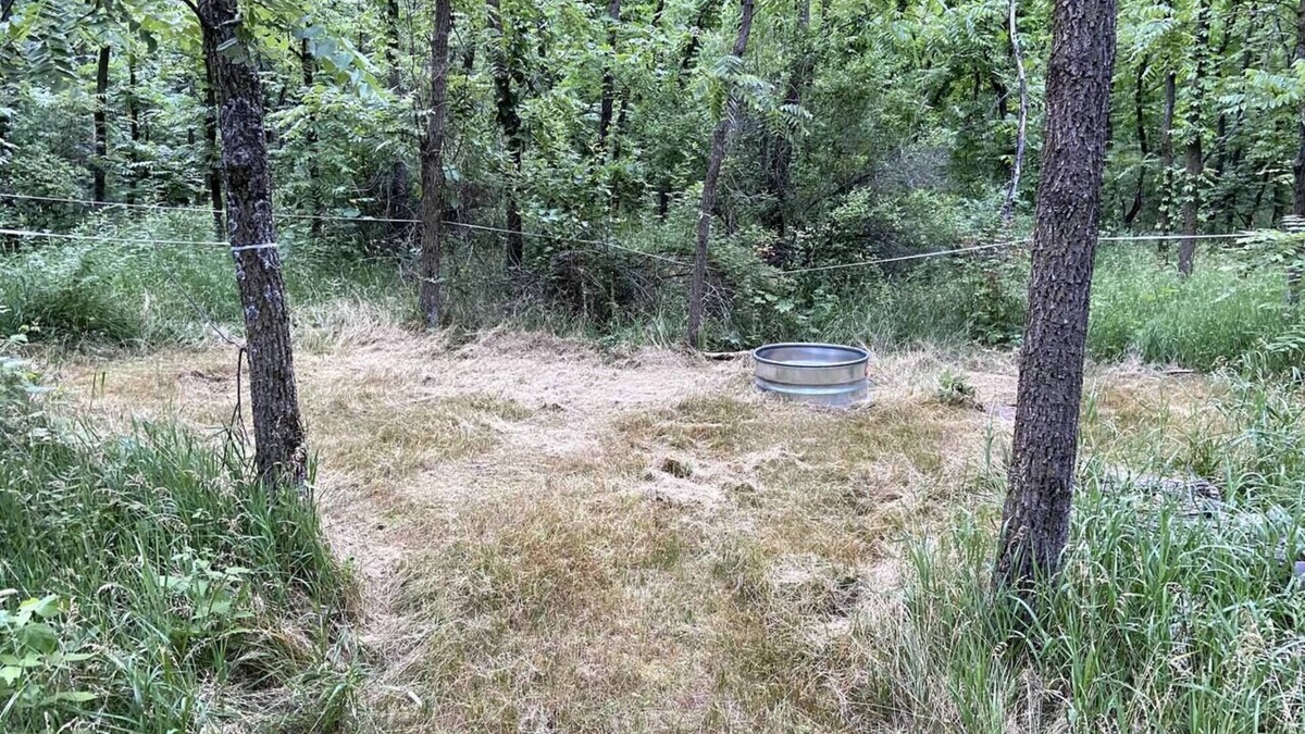 Berrien Springs RV Rental | Rustic Tent Campsite #2