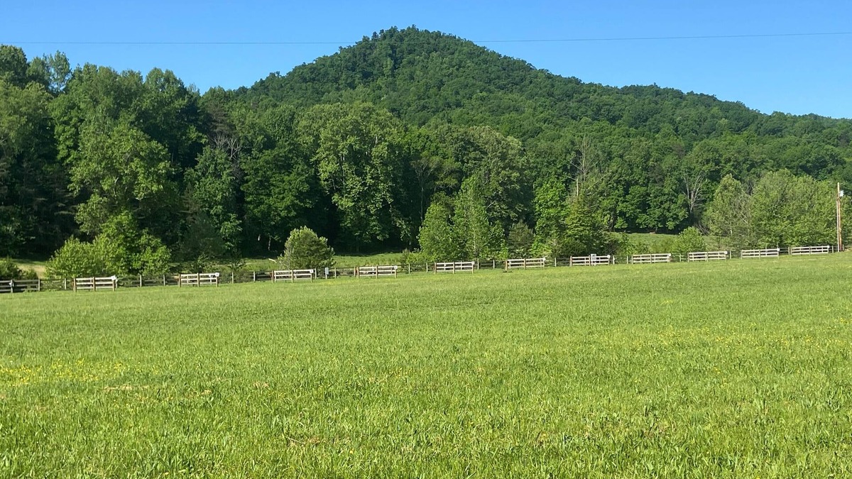 Clay City RV Rental | RV Campground at The Holler #7