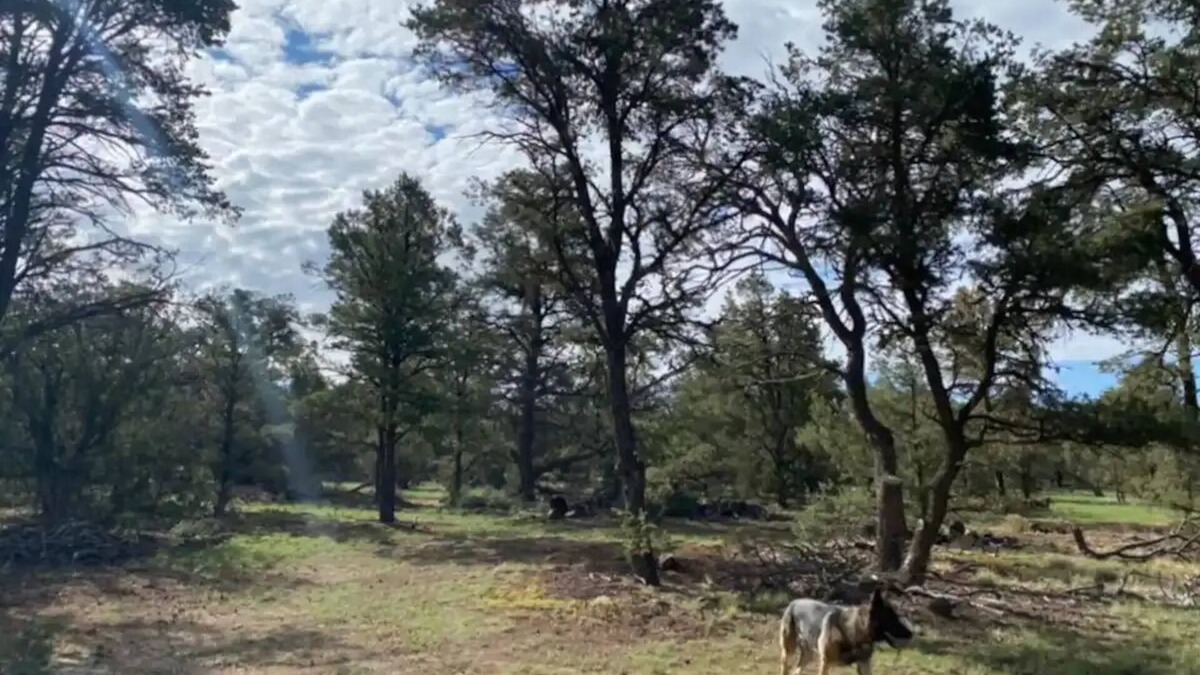 Quemado RV Rental | RV Mountain Getawaynn