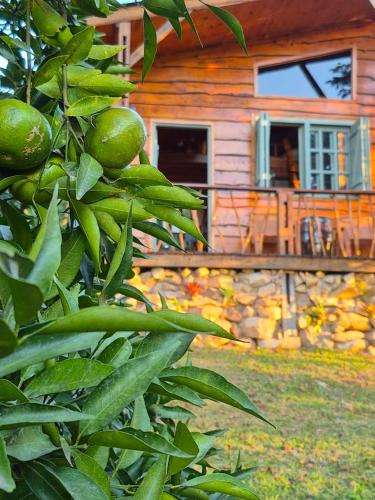 Sao Lourenco do Sul House | Sítio Espinilho