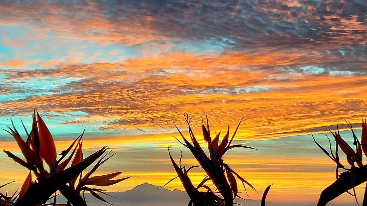 Villa de Mazo House | Süßes Gästehaus mit Breitem Meerblick