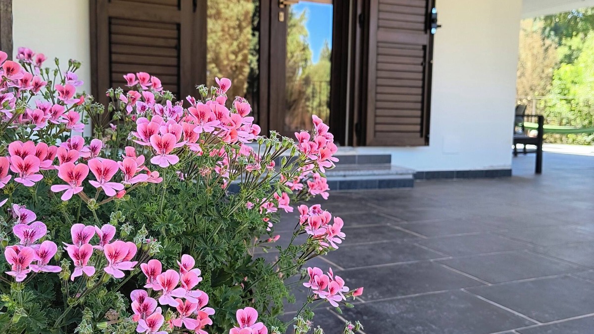 Iglesias House | S'ollastu Q4121 Cozy apartment in the green