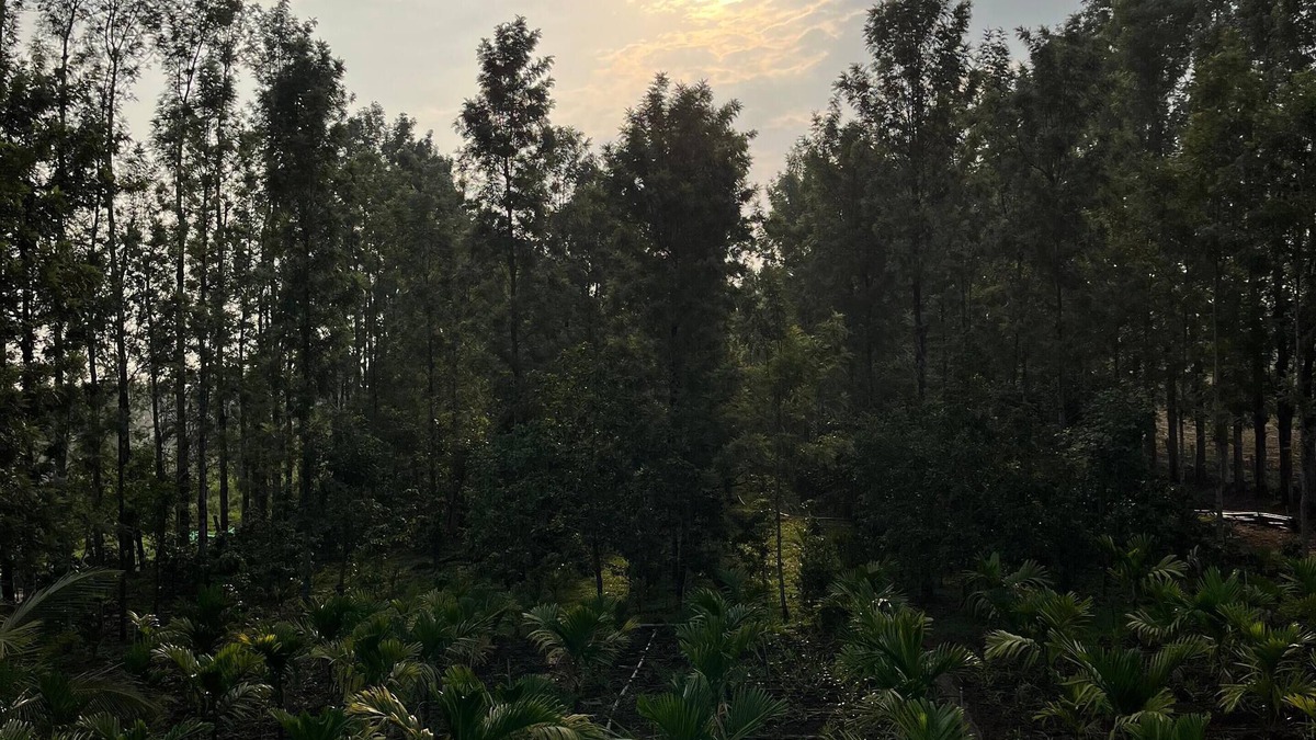 Piriyapatna Other | S R Retreat – Workation & Nature Escape in Malanad