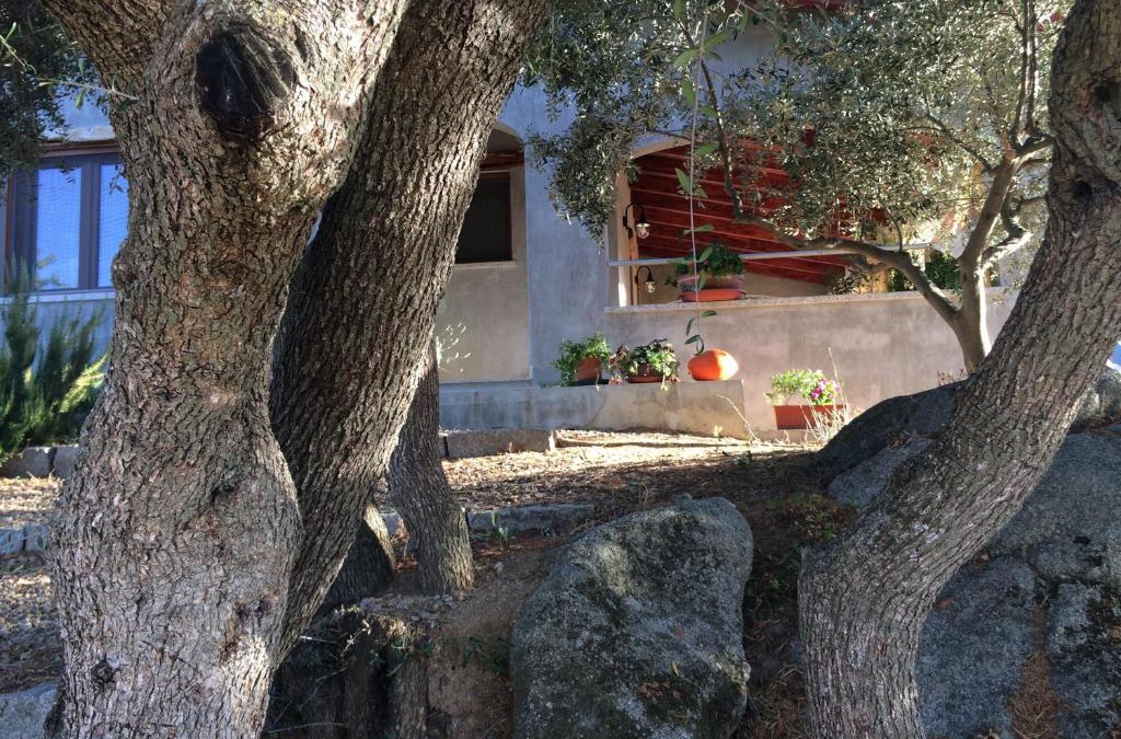 Orgosolo House | S'umbra de S'ozzastru