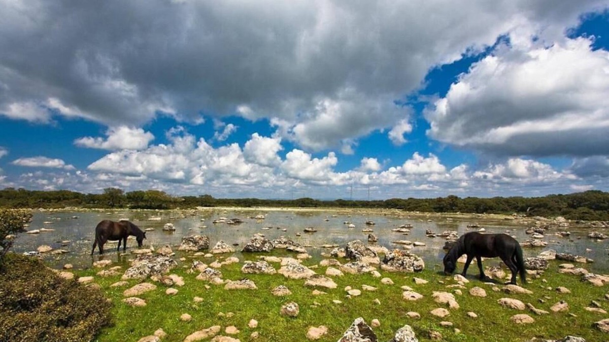 Barumini Hotel | Sa Lolla