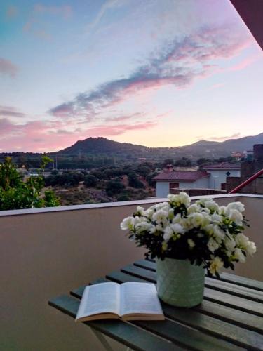 Arbus Apartment | Sa Paxi Arbus