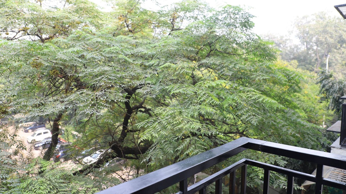 Saket Apartment | Saket 54 - A Spacious 4-bedroom apartment in charming Saket, New Delhi