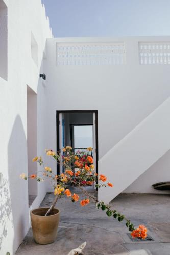 Muscat House | Salaam Space