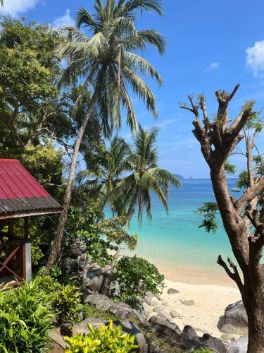 Tioman Island Ski Chalet | SALANG SAYANG RESORT PULAU TIOMAN