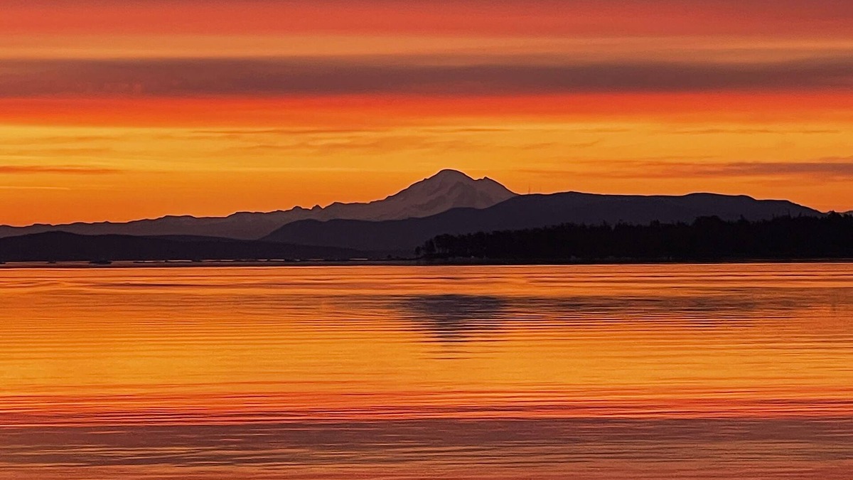 Sidney House | Salish Sea Beach House B&B Spectacular Oceanfront on the Salish Sea!