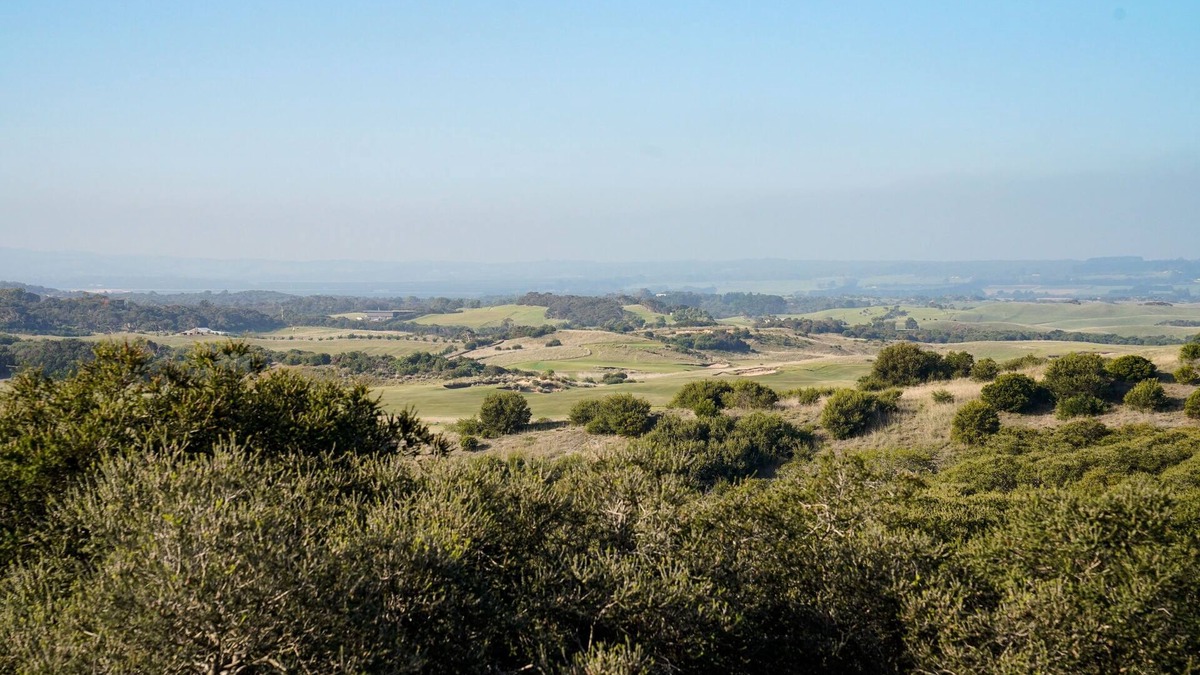 St. Andrews Beach House | Salt Bush - Great views nestled in the moonahs