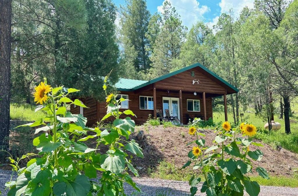 San Lorenzo House | Salt Creek Cabin In The Gila