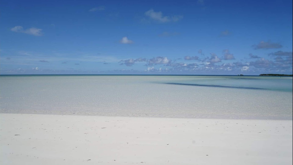 Spanish Wells Apartment | Salty Life - 1 bed, 1 bath with golf cart. 1 minute to the beach