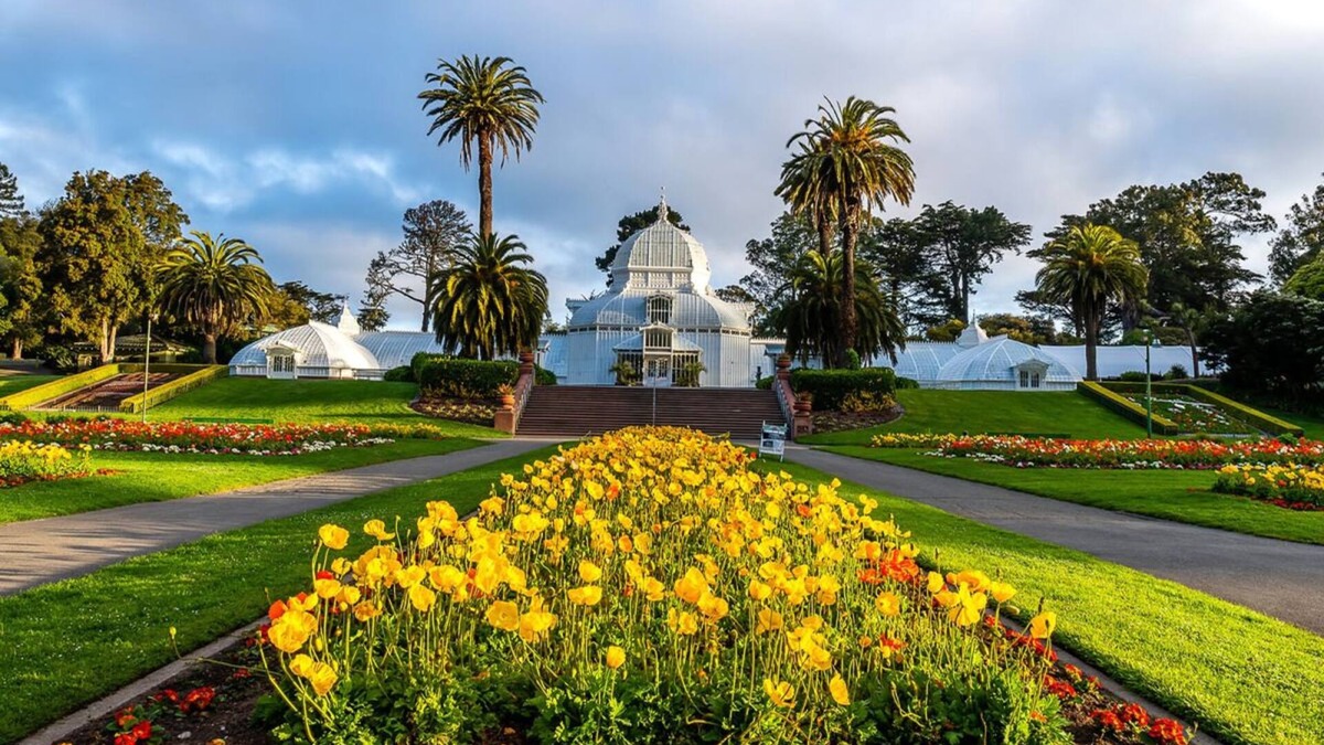 Theater District Hotel | San Francisco Elegance! Pets Allowed, Near San Francisco Botanical Garden!