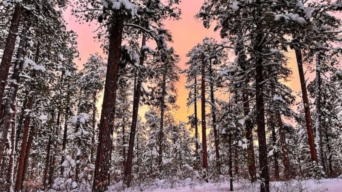 Pagosa Highlands House | San Juan Grand Retreat!