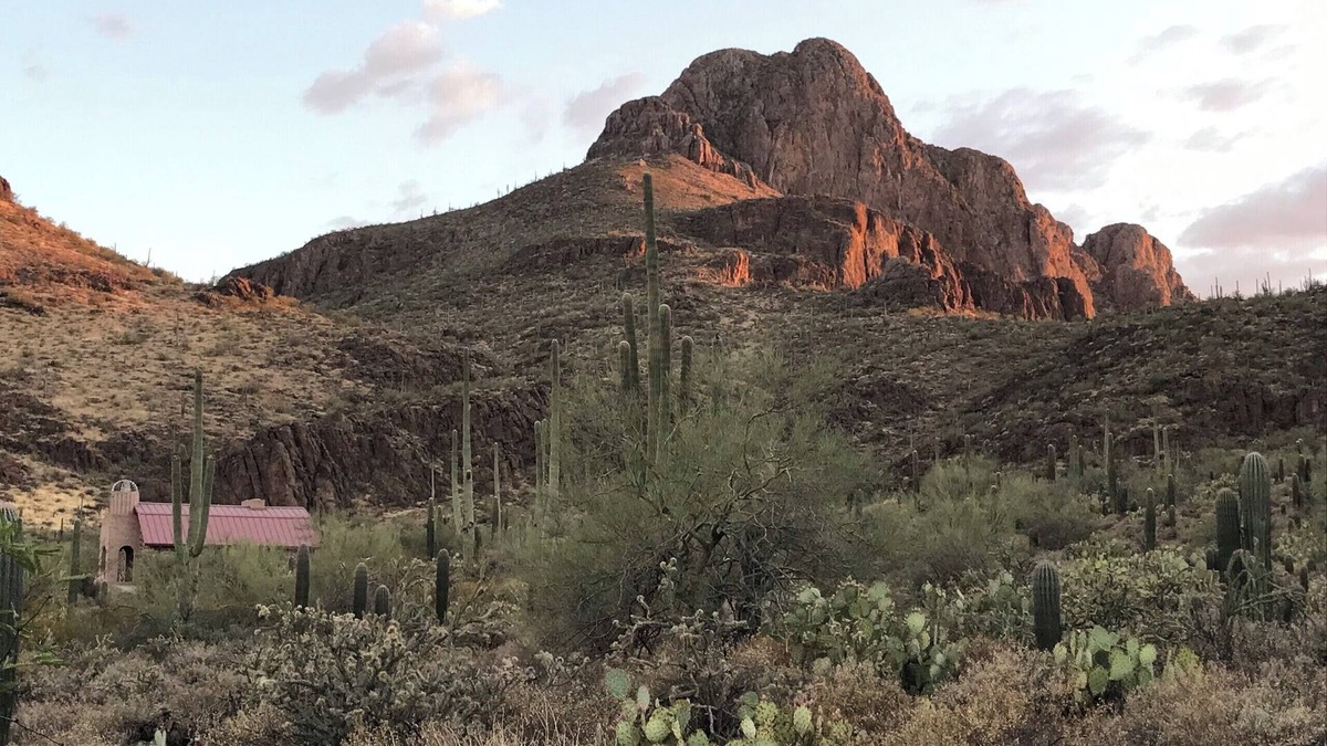 Tucson Cottage | Sanctuary Cove's Guest Cottage is surrounded by 80 acres of pristine Desert.