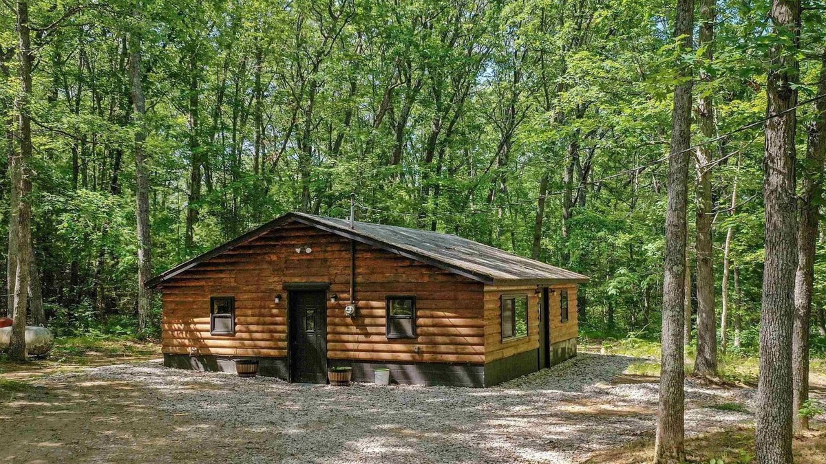 Wellston Cabin | Sand Lake Log Cabin- Pets OK, Starlink Wifi, Smart TV, AC, Grill, Firepit