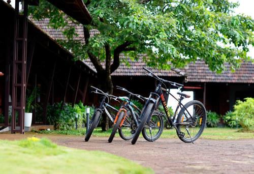 Bovikanam Resort | SandalMist Resort and Spa