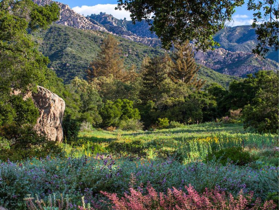 Mission Canyon Villa | Santa Barbara Botanical Cabin