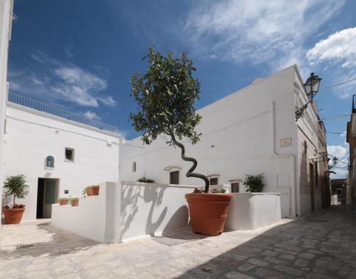 Centro Storico House | Santa Marina Bed&Breakfast