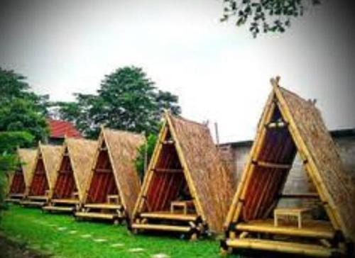 Ciloto Other | Santino camp