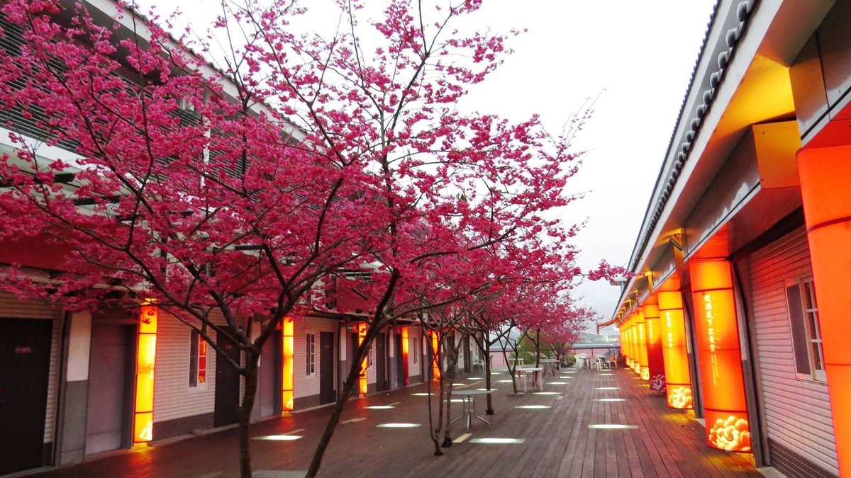 Sanyi Hotel | Sanyi Sakura Resort