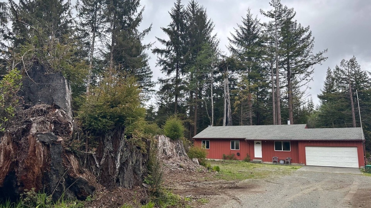 Crescent City House | Sasquatch Sanctuary