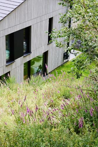 Winterberg House | Sauerland Lodge - Haus Juliana