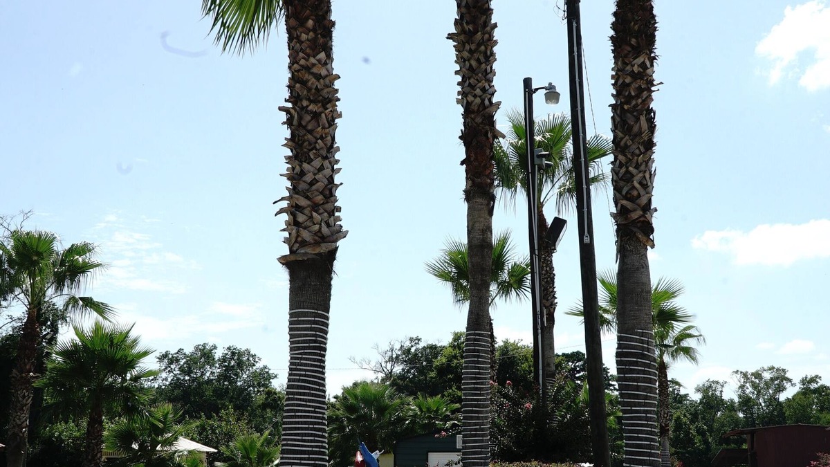 Garden City Hotel | Savannah Inn and Suites