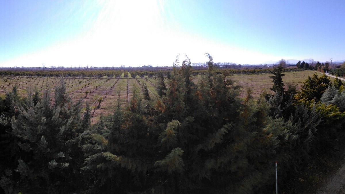 Scanzano Jonico House | Scanzano Ionico: holiday on a farm near the sea