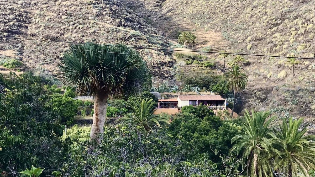 Lomito Fragoso y Honduras Cottage | Scenic Organic Farmstay at Rincón del Olivo, San Sebastián de la Gom