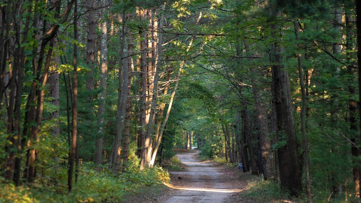 Muskegon Cabin | Scenic Drive Resort - Cabin #6