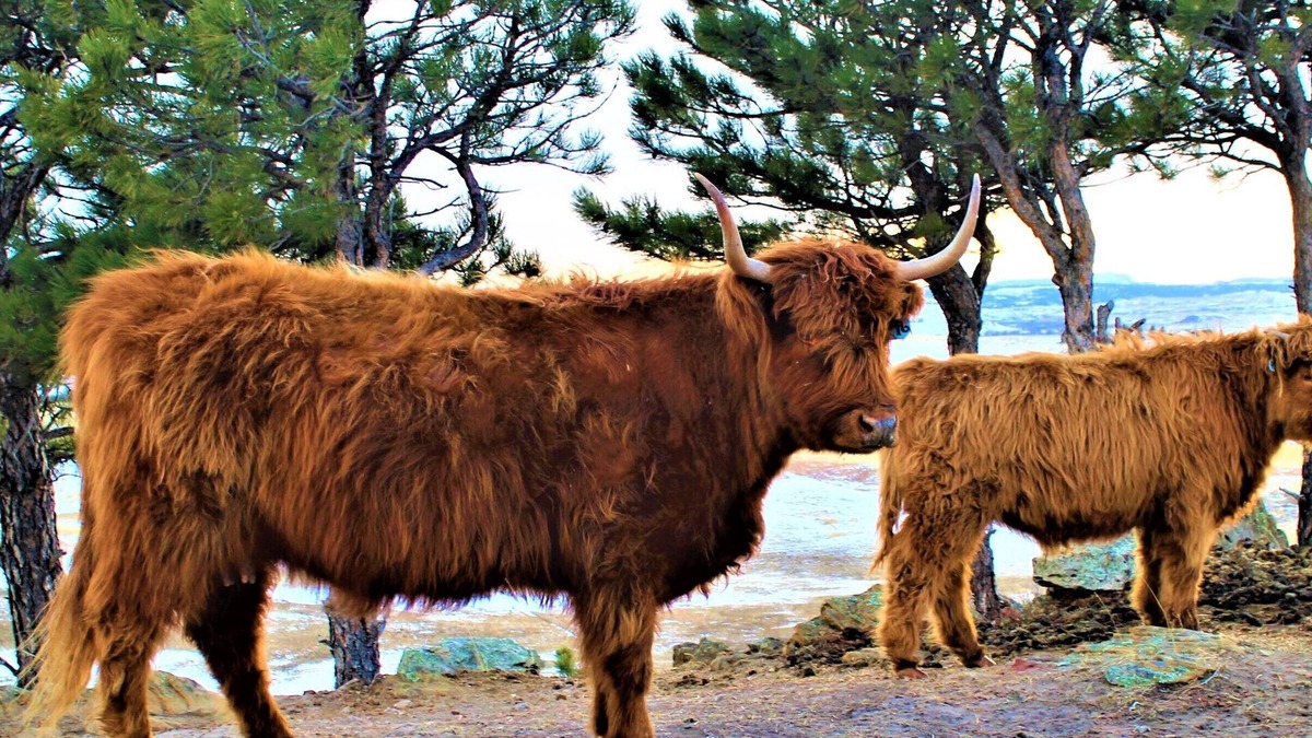 Belle Fourche House | Scenic Ranch Country Retreat, 10 miles from town