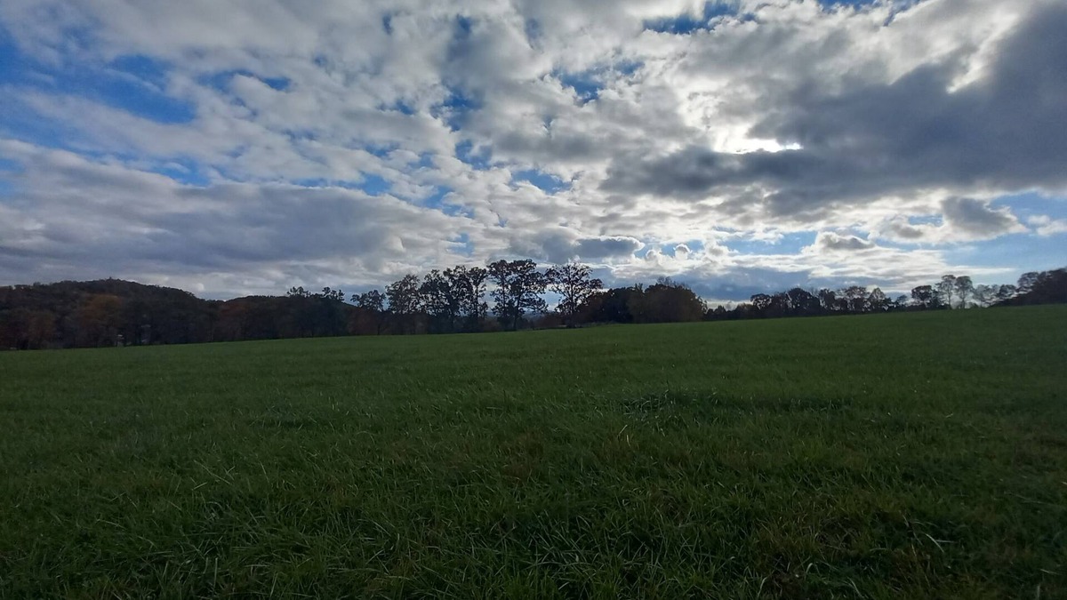 Woodbine House | Scenic View - this farm has it all!