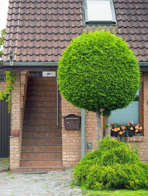 Pastow Apartment | Schöner Blick