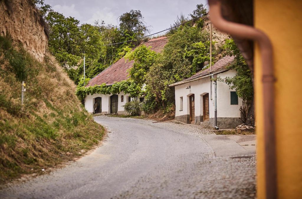 Rohrendorf bei Krems Bed & Breakfast | Schmankerl und Gast