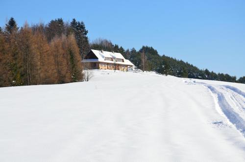 Komancza Bed & Breakfast | Schronisko Górskie nad Smolnikiem
