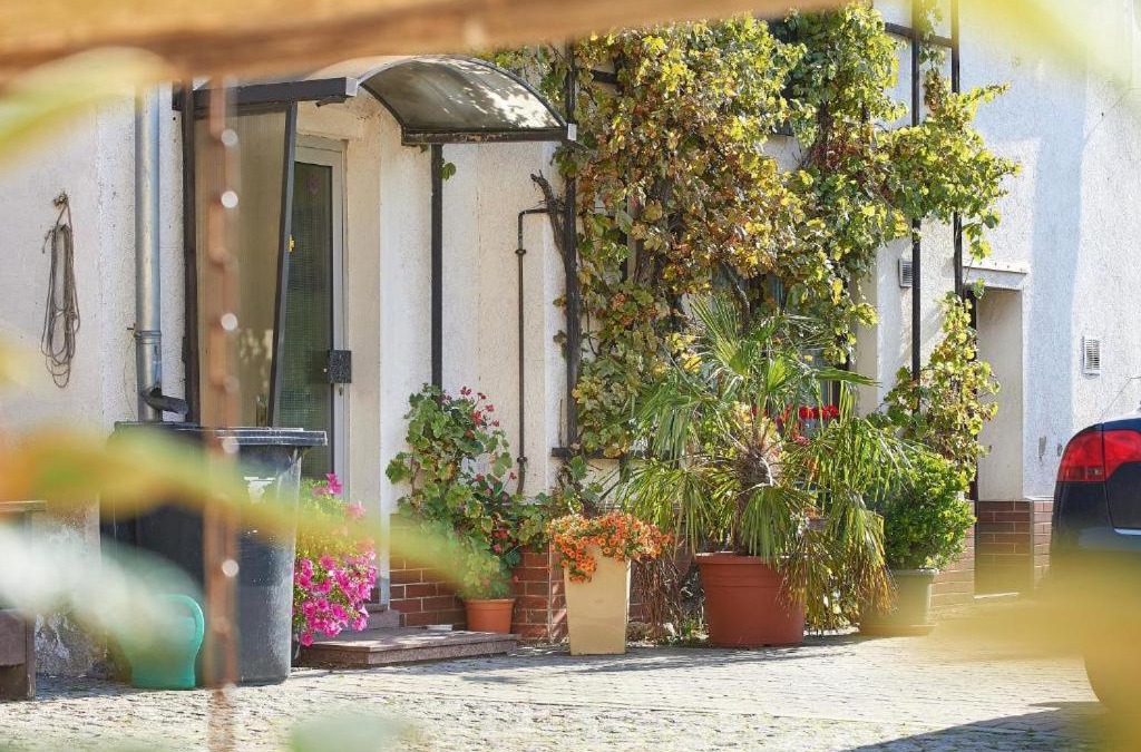 Wollnau Apartment | Schwalbenhof Wöllnau