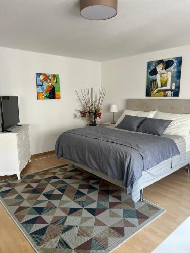 Matthaus Apartment | Schweiz (303)