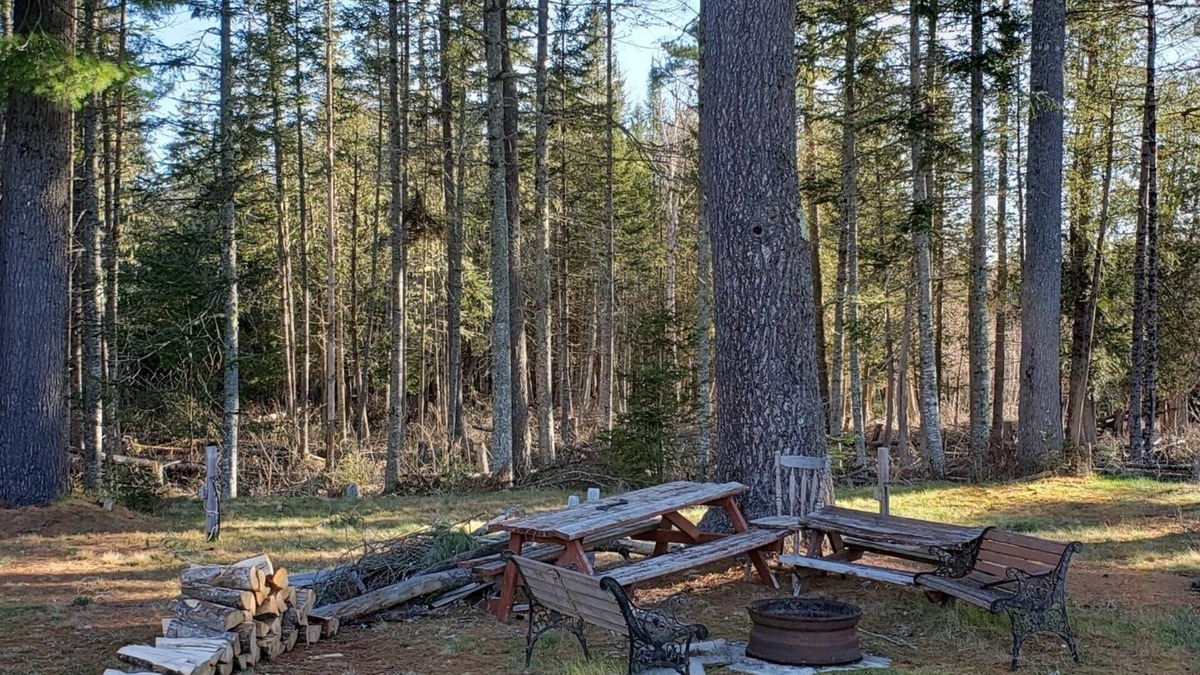 Saint David Hotel | Scoodic Motel