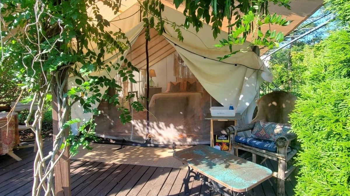 Caroline Cabin | Scottland Yard Farm's Wisteria Glamp