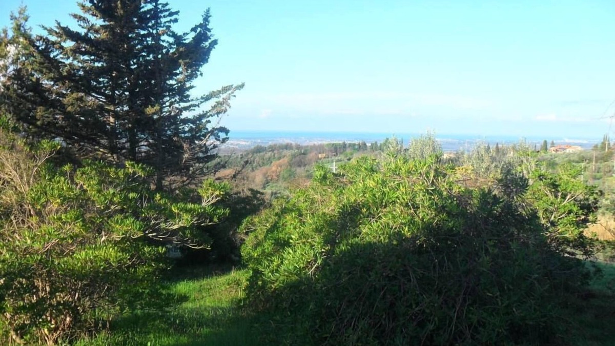 Guardistallo Apartment | Sea and countryside together LAST MINUTE