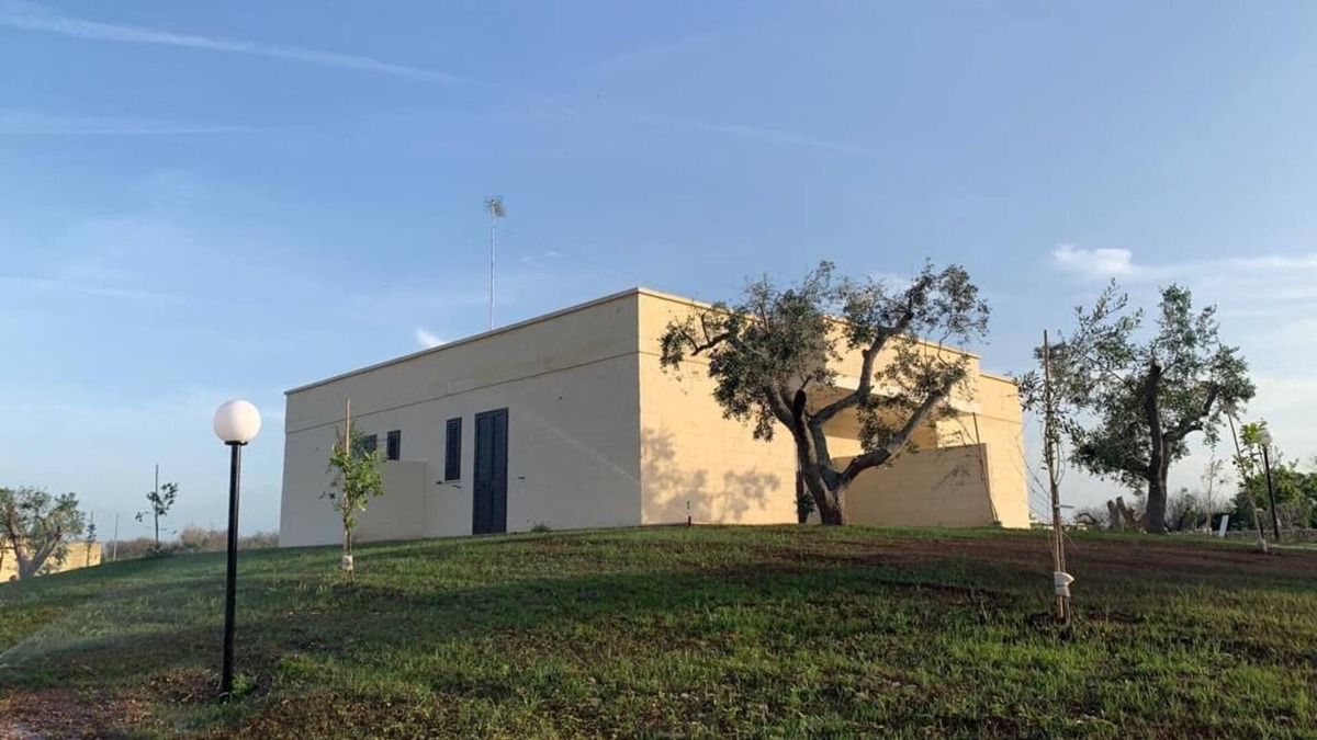 Torre Specchia Ruggeri House | sea and olive trees holiday home
