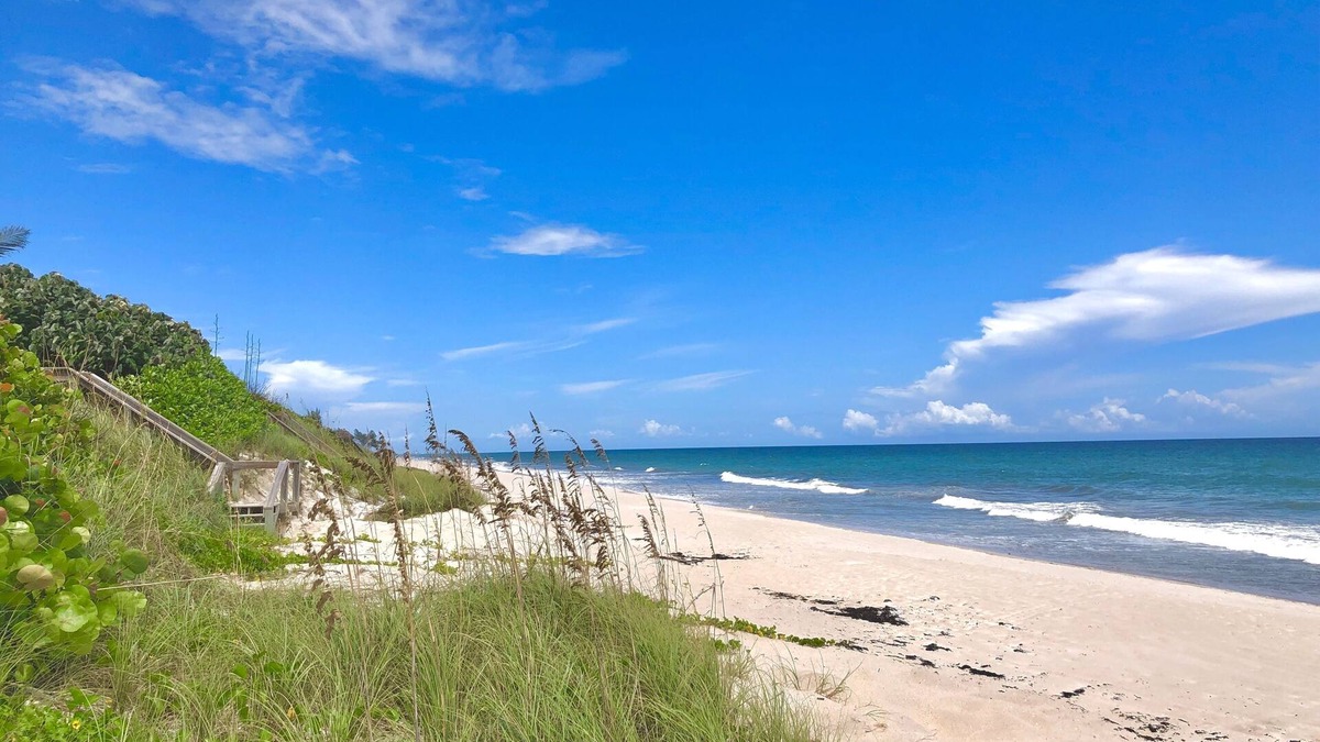 New Melbourne Beach Cottage | Sea Turtle Suite 2, Oceanfront boutique cottage at Serenity in Melbourne Beach!