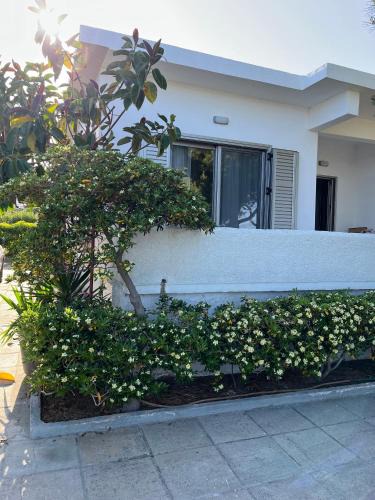 Paralias House | Sea View Beach House near Athens Airport
