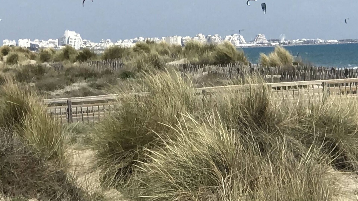 La Grande-Motte Apartment | Sea view Clim, wifi, 5 mn from the beach, classified 2 ⭐️piscine, parking